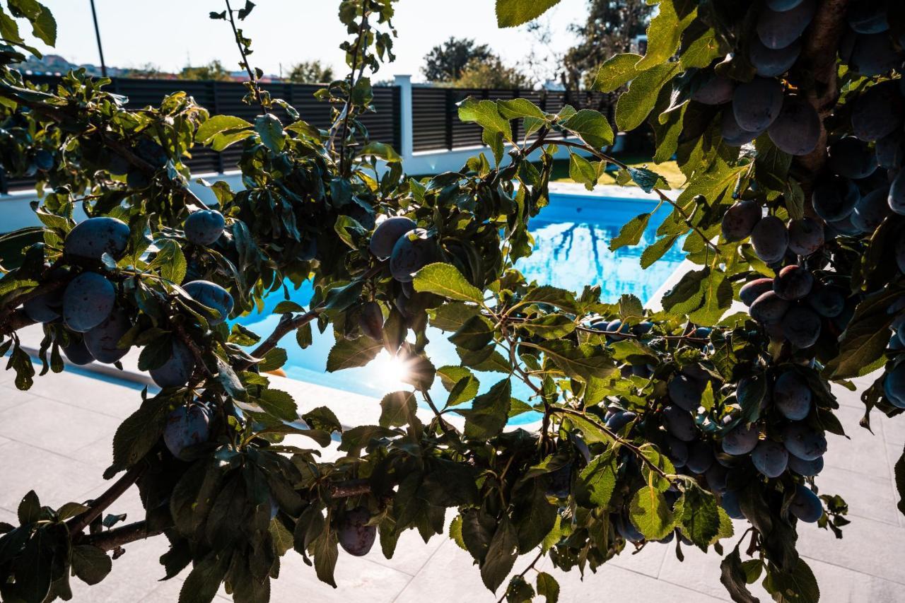 Villa Margita Split Dış mekan fotoğraf
