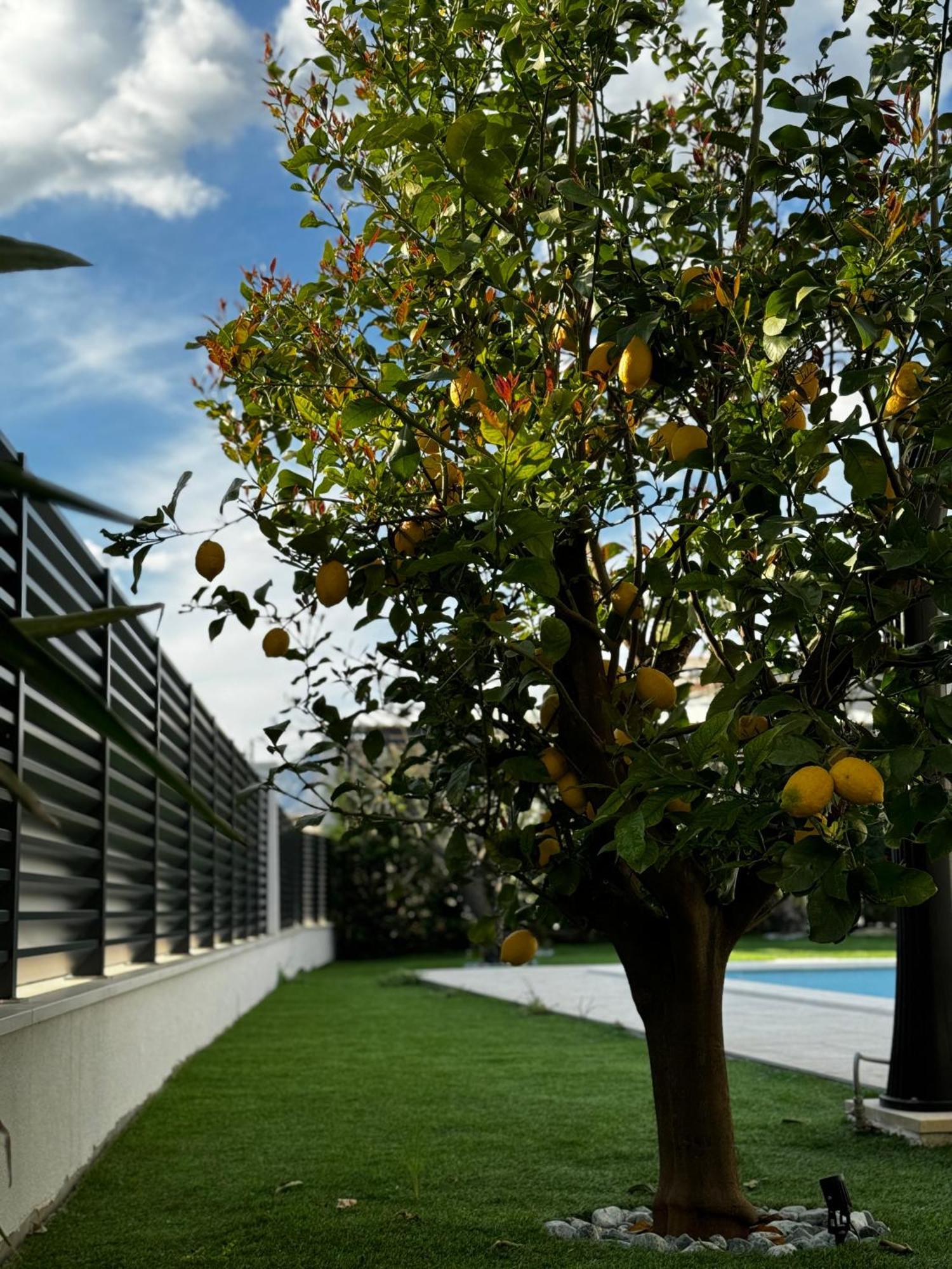 Villa Margita Split Dış mekan fotoğraf