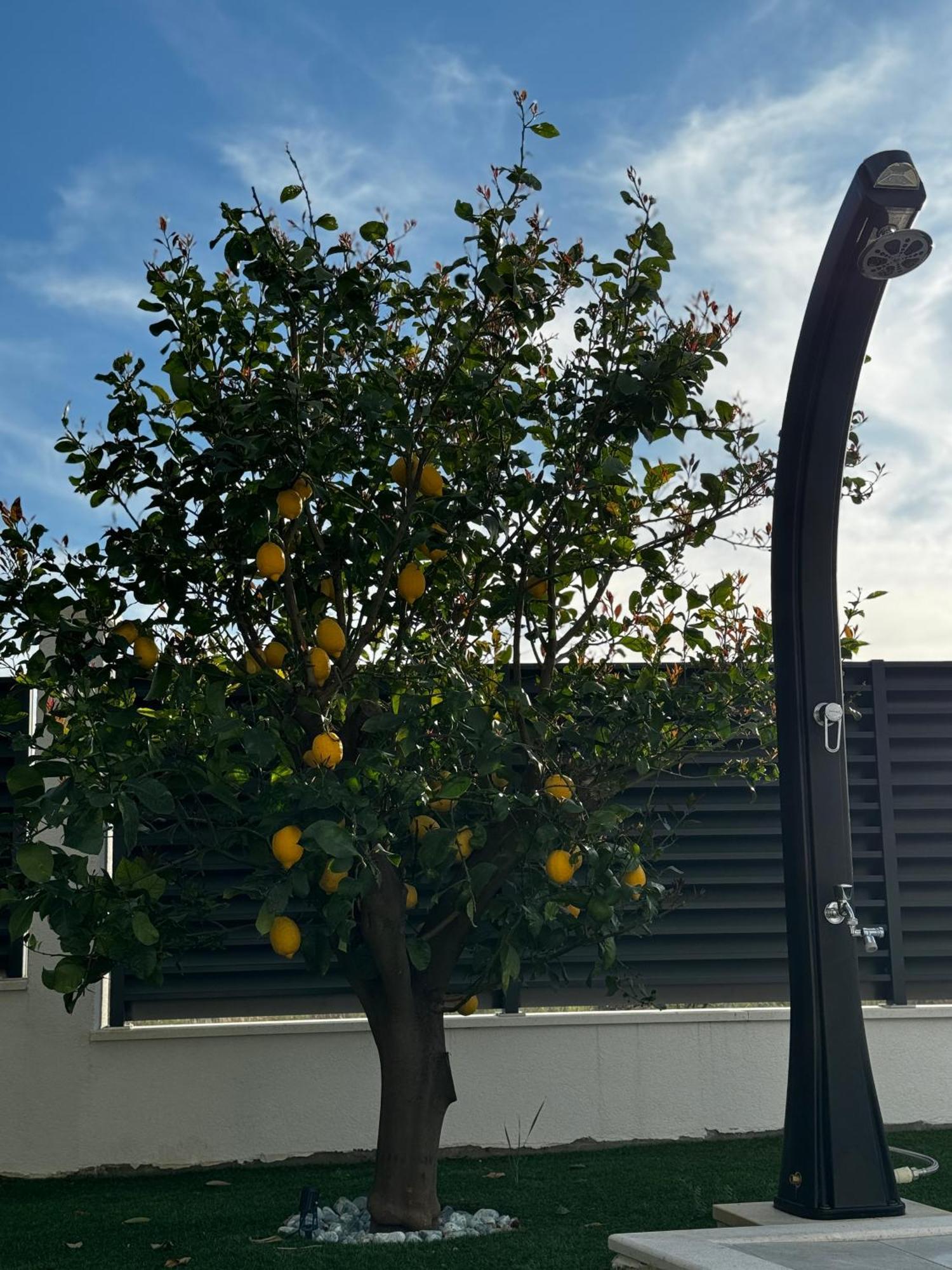 Villa Margita Split Dış mekan fotoğraf